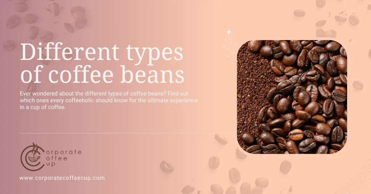 9 Different types of coffee beans a coffeeholic should know